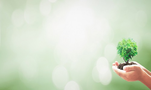 immagine Esteso l’Incentivo Occupazione Sviluppo Sud alle assunzioni dei primi quattro mesi del 2019